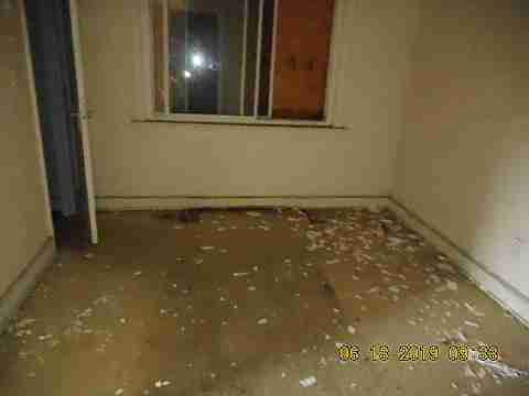 15010 Freeland (22)_m.jpg